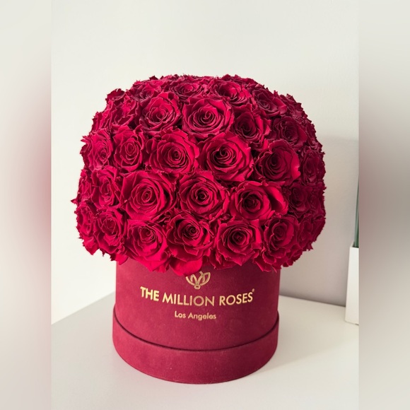 SUPREME BORDEAUX SUEDE SUPERDOME BOX | BURGUNDY ROSES - Picture 2 of 5